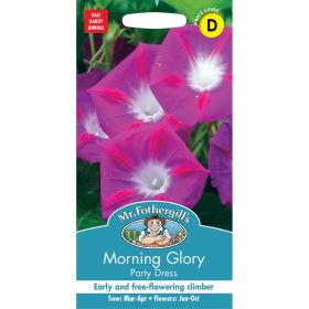 Morning Glory Party Dress Seeds